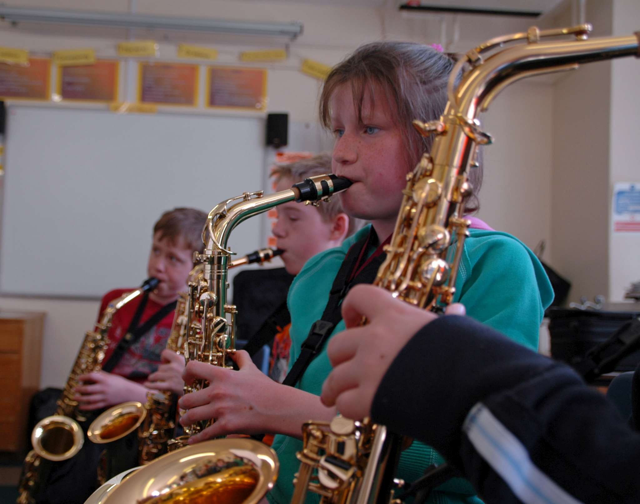 Welcome to our new website